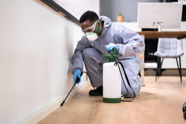 Best Pest Prevention Services  in Munford, TN